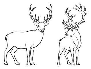 Reindeer standing duo – elegant Christmas deer line art illustration