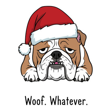 Grumpy bulldog in Santa hat with &lsquo;Woof. Whatever.&rsquo; &ndash; humorous Christmas illustration