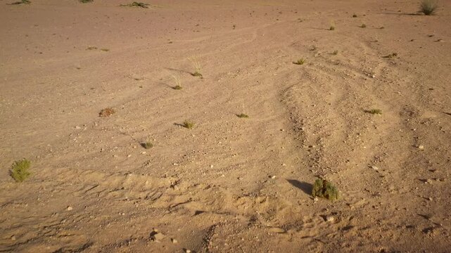 Desert plant Welwitschia mirabilis, tree tumbo. Aerial view to Naukluft Mountains in Namib-Naukluft National Park and Dorob NP, beautiful desert mountains in sunny afternoon and sunset. 