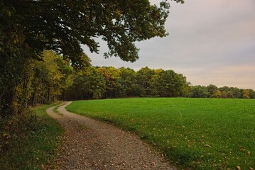 Obraz premium Country road in the forest