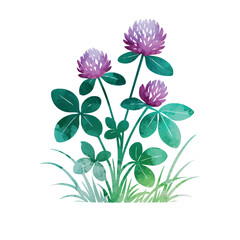 Watercolor clover object. Beautiful flower. Hand drawn. Not AI, vector illustration.