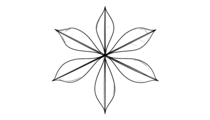 Stylized radial arrangement of six elongated, pointed shapes, resembling a floral design against a black background