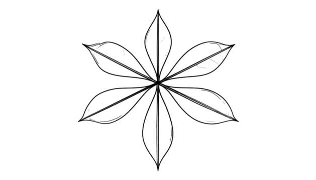 Stylized radial arrangement of six elongated, pointed shapes, resembling a floral design against a black background