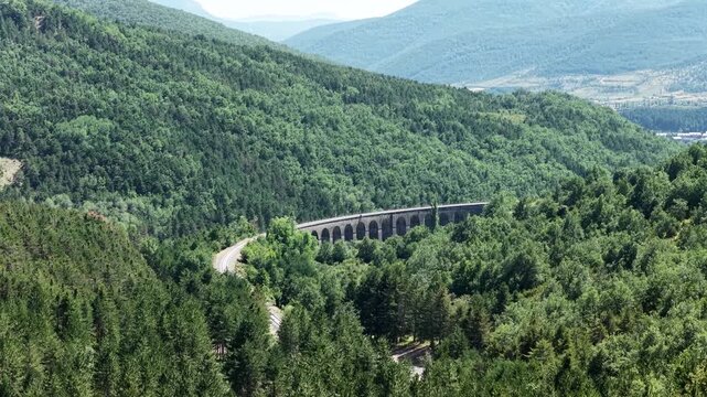 Montenegro viaduct tara river canyon bridge surrounded by lush green forest