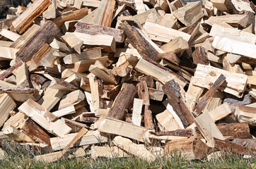 Pile of Firewood