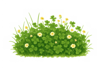 Clover and grass patch with white and yellow flowers growing, transparent background for spring and nature concepts