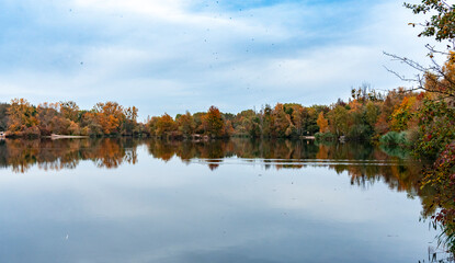 Couleurs d’automne au cœur de Strasbourg
