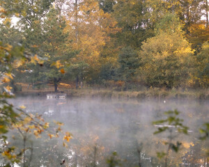 Fototapeta premium Morning Mist Over Quiet Pond