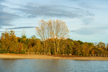 Couleurs d’automne au cœur de Strasbourg