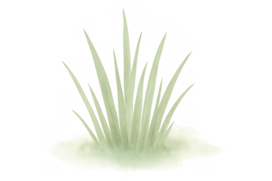 Green grass clump illustration in watercolor style. Nature drawing on transparent background - Powered by Adobe