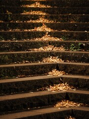 Tokyo, Japan - October 29, 2025: Concrete steps at autumn night
