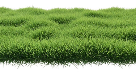 Lush green grass isolated on transparent background