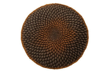 Fototapeta premium Sunflower seed head displaying natural fibonacci spiral pattern and geometry on transparent background