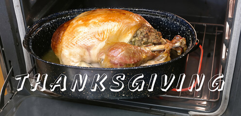 Thanksgiving Turkey coming out of oven