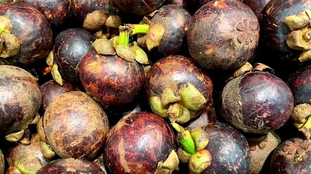 Pile of fresh mangosteen retail sale in local market. Manggis or mangosteen or garcinia mangostana or purple mangosteen is sweet, tangy and juicy. 