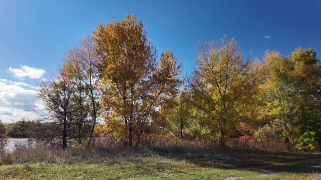 A very beautiful autumn landscape with golden trees. 4K video 60 fps. Very beautiful red tree crowns turned yellow in autumn. Beautiful shots of nature against the sky.