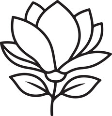 Minimalist Magnolia Flower Outline Illustration for Botanical Designs