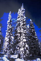  Artsy Christmas trees covered  in snow with blue background