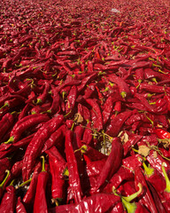 A vibrant, full-frame background of countless red chili peppers. The abundant harvest creates a rich, spicy texture, representing agricultural production and culinary ingredients.