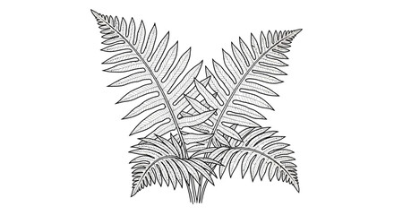 Obraz premium Elegant line drawing of stylized fern fronds with intricate details