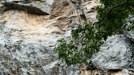 Thailand cave cove nature rock walls beautiful nature water river stream