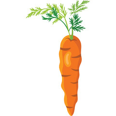 A Detailed Illustration of a Ripe Orange Carrot With Green Stalks and Leaves Against a Clean White Background