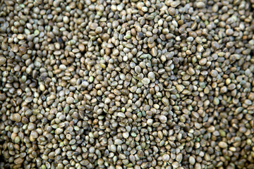 Organic Hemp Seed