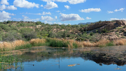 Ayer Lake located in Boyce Thompson Arboretum. Arizona