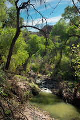 Queen Creek flows through the Boyce Thompson Arboretum - Superior Arizona