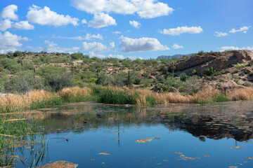 Ayer Lake located in Boyce Thompson Arboretum. Arizona
