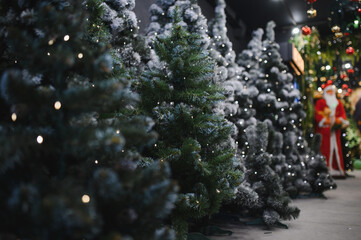 Festive christmas trees with lights in shop