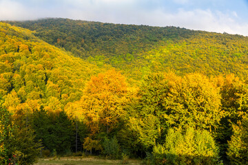 Vibrant autumn landscape of Carpathian Mountains in Ukraine