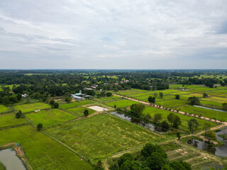 Naklejka premium Aerial drone landscape showing lush green rice fields, small ponds, and a rural dirt road surrounded by trees and village houses. The cloudy sky brings soft lighting that enhances the peaceful and nat