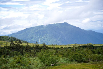 夏の中央アルプスの高山帯から遠くの山々を見渡した雄大な風景です。手前には高山植物が広がり中景には針葉樹林が広がり雲の多い夏の日の情景です。