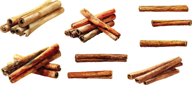 Watercolor Cinnamon Stick Clipart