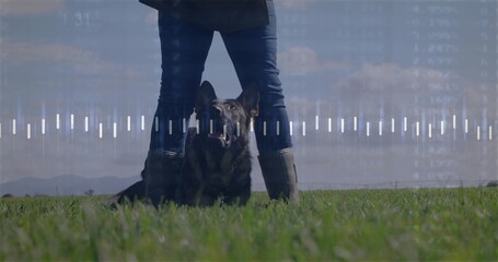 Standing dog handler wearing green rubber boots beside shepherd dog in field, waveform overlay