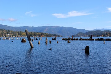 Wreckage of an old pier protruding from a calm autumn day of the lake