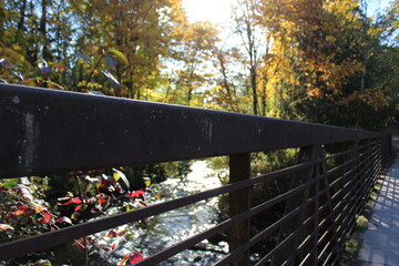 A bridge view of sunlight through autumn leaves over a stream