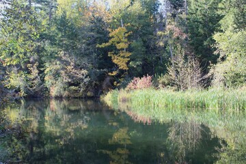 A serene pond reflecting autumn foliage