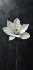 A single ethereal white flower stands out against a dark, textured background creating soft light