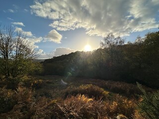 sunrise over the river