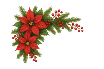 Christmas poinsettia and holly berries accenting holiday fir branch decoration with transparent background