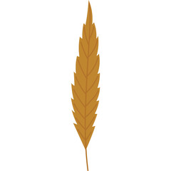 A Single Elongated Brown Autumn Leaf with Serrated Edges and a Thin Stem Isolated on a White Background