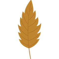 A Single Brown Autumn Leaf With Serrated Edges and a Transparent Background Perfect for Seasonal Designs