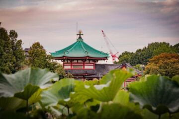 Building by a pond in Japan 