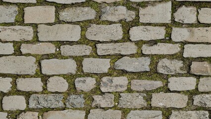 close up view of aged rectangular stone bricks with moss growing in between on an old weathered wall