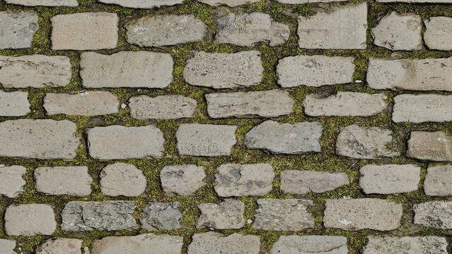 close up view of aged rectangular stone bricks with moss growing in between on an old weathered wall