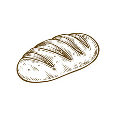 Baguette bread hand drawn illustration. Baguette bread vector line art