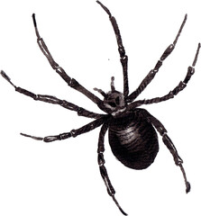 Halloween sing element illustration