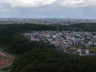 Fototapeta premium A city with a lot of houses and trees. The sky is cloudy and the town is in the distance